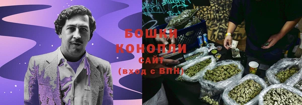 прущие грибы Белокуриха