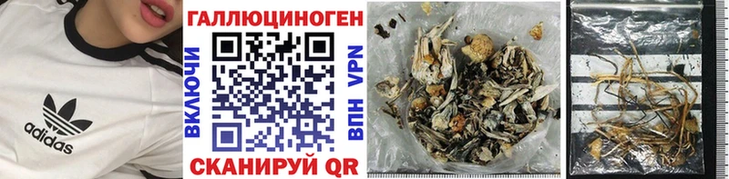наркота  Билибино  площадка наркотические препараты  Галлюциногенные грибы GOLDEN TEACHER 
