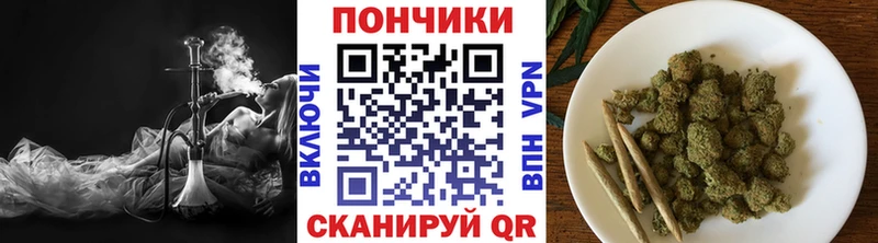 хочу   Билибино  Каннабис сатива 